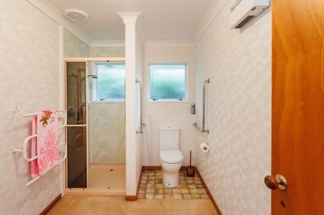 Photo of property in 12 Hind Place, Hokowhitu, Palmerston North, 4410