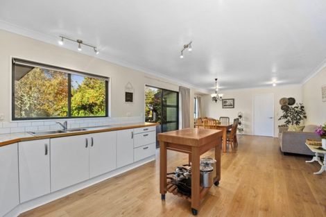 Photo of property in 12 Palmer Mill Road, Wairakei, Taupo, 3384