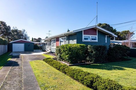 Photo of property in 133 Cockburn Street, Kuripuni, Masterton, 5810