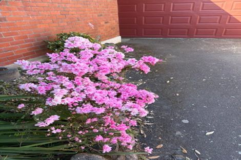 Photo of property in 4 Brook Street, Waiwhetu, Lower Hutt, 5010