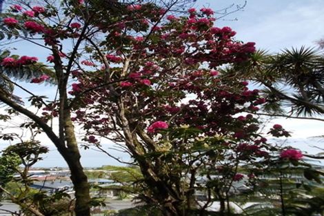 Photo of property in 6 Freyberg Terrace, Greymouth, 7805