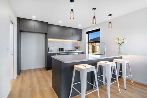 Photo of property in 101 Ed Hillary Drive, Rolleston, 7615