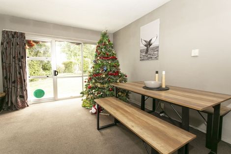 Photo of property in 107 Princes Street, Netherby, Ashburton, 7700