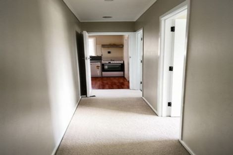 Photo of property in 98 Webster Avenue, Mount Roskill, Auckland, 1041