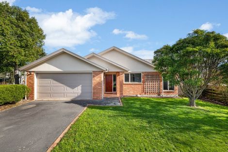 Photo of property in 178 Redwood Street, Witherlea, Blenheim, 7201