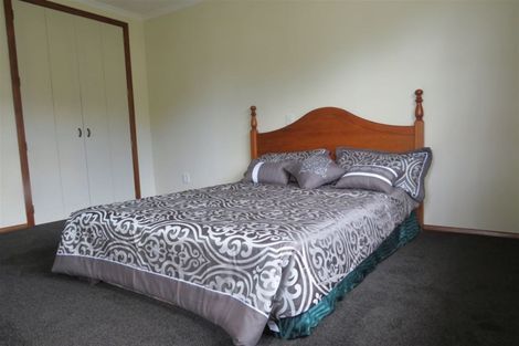 Photo of property in 21 Edinburgh Street, Levin, 5510