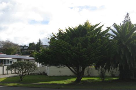 Photo of property in 15 Lancaster Street, Dinsdale, Hamilton, 3204