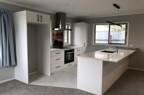 Photo of property in 17a Solway Street, Levin, 5510