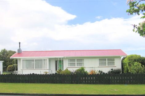Photo of property in 17 Princes Street, Waihi, 3610