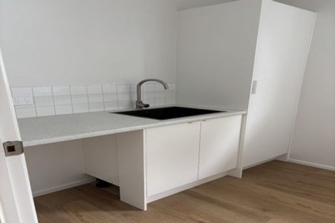 Photo of property in 30 Wairere Avenue, Mount Albert, Auckland, 1025