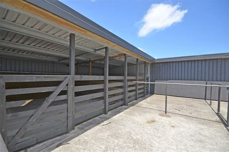 Photo of property in 1088 South Head Road, South Head, Helensville, 0874