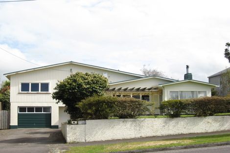 Photo of property in 35 Brecon Road, Stratford, 4332