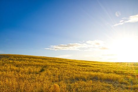 Photo of property in 45 Mcarthur Road, Springvale, Alexandra, 9391