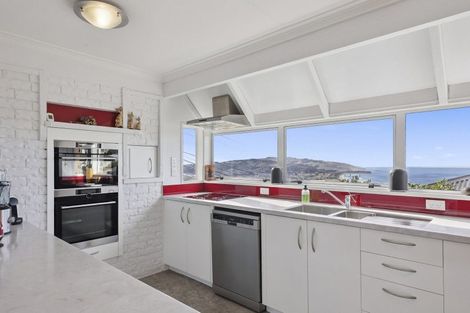 Photo of property in 19 Earls Road, Saint Clair, Dunedin, 9012