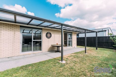 Photo of property in 10 Medland Place, Chartwell, Hamilton, 3210