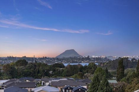 Photo of property in 49 Pinkerton Place, Ohauiti, Tauranga, 3112