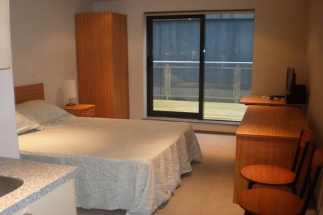 Photo of property in Dual Apartments, 108/142 Vivian Street, Te Aro, Wellington, 6011