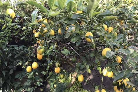 Photo of property in 88b Commissariat Road, Mount Wellington, Auckland, 1060