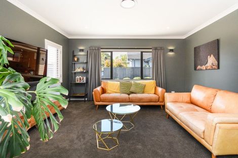 Photo of property in 14a Colombo Street, Hokowhitu, Palmerston North, 4410