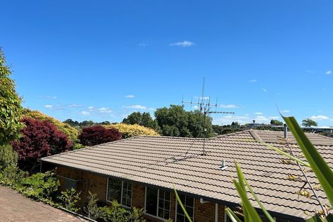 Photo of property in 10 Rochester Place, Bethlehem, Tauranga, 3110