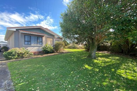 Photo of property in 67 Blake Street, Waitara, 4320