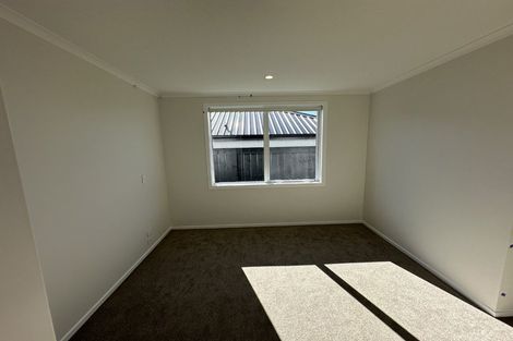 Photo of property in 128 Dunlop Road, Te Puke, 3183