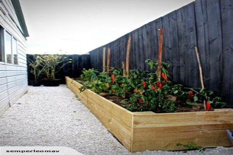 Photo of property in 18 Goodwin Street, Tirau, 3410