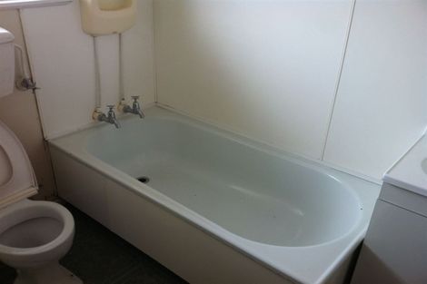 Photo of property in 33a Greensboro Street, Hamilton East, Hamilton, 3216