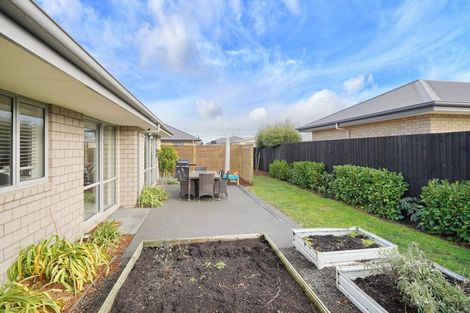 Photo of property in 50 Cassino Street, Rangiora, 7400