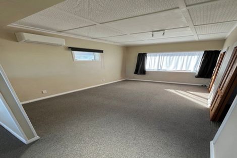 Photo of property in 28 Hinau Street, Maeroa, Hamilton, 3200