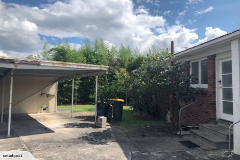 Photo of property in 82 Flanshaw Road, Te Atatu South, Auckland, 0610