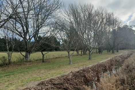 Photo of property in 8 Cherry Tree Place, Southbridge, 7602