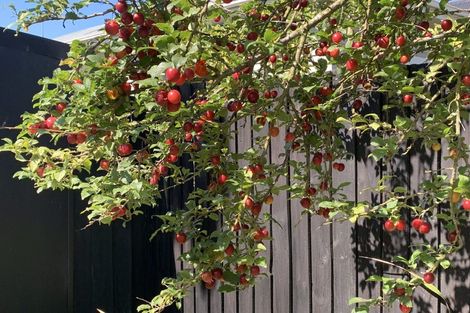 Photo of property in 34 Edgeware Road, St Albans, Christchurch, 8014