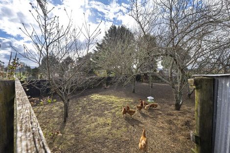Photo of property in 802 Tuhikaramea Road, Ngahinapouri, Hamilton, 3290