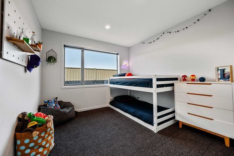 Photo of property in 43 Larch Crescent, Alexandra, 9320