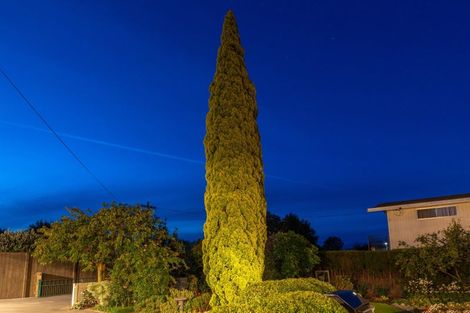 Photo of property in 269 Scott Street, Witherlea, Blenheim, 7201