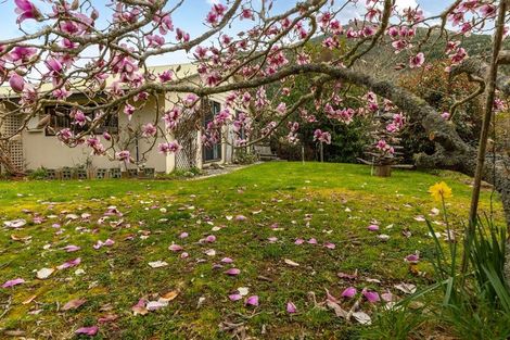 Photo of property in 420 Wakamarina Road, Canvastown, Havelock, 7178