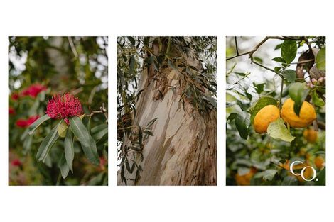 Photo of property in 60 Walford Road, Aongatete, Katikati, 3181