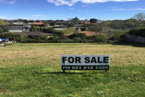 Photo of property in 113 Castlewold Drive, Bethlehem, Tauranga, 3110