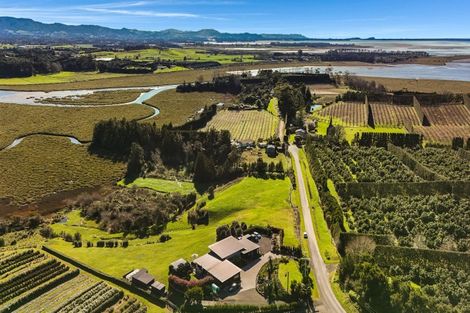 Photo of property in 175 Stewart Road, Whakamarama, Katikati, 3181