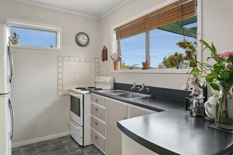 Photo of property in 266 Taharepa Road, Tauhara, Taupo, 3330