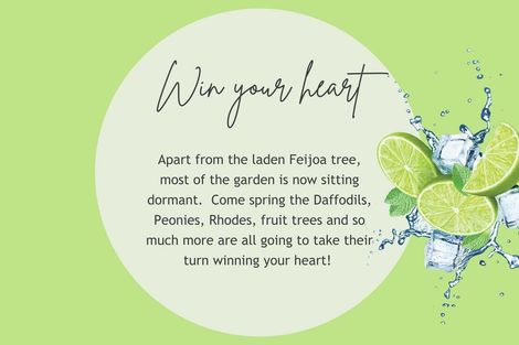 Photo of property in 252 Williams Street, Kaiapoi, 7630