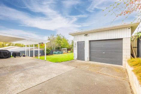 Photo of property in 12 Tutanekai Street, Waipukurau, 4200