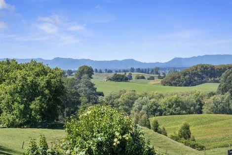 Photo of property in 14 Sholson Street, Putaruru, 3411