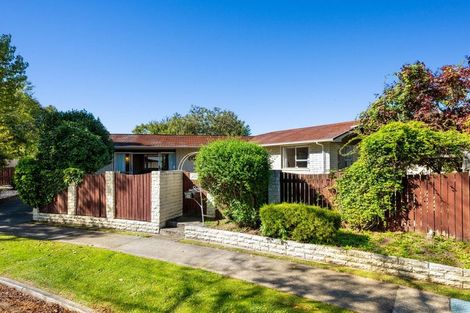 Photo of property in 45 Leefield Street, Blenheim, 7201