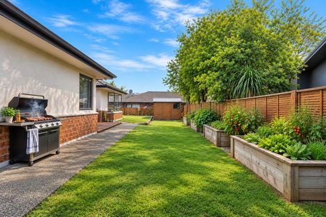 Photo of property in 119 Hollister Lane, Ohauiti, Tauranga, 3112