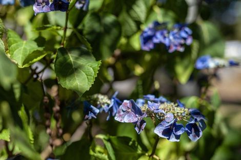 Photo of property in 7 Kawau Grove, Waikanae Beach, Waikanae, 5036