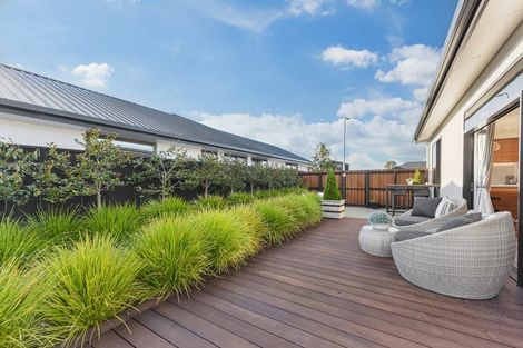 Photo of property in 17 Wakanini Place, Mapua, 7005