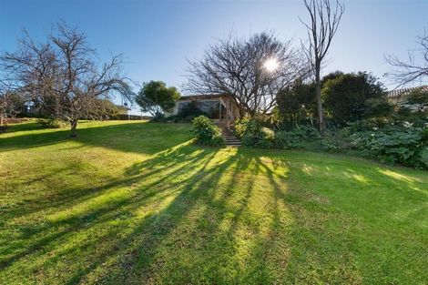 Photo of property in 70a Cameron Road, Te Puke, 3119
