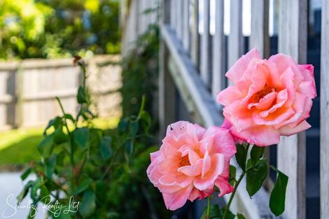 Photo of property in 20 Bickerstaffe Road, Maungaturoto, 0520